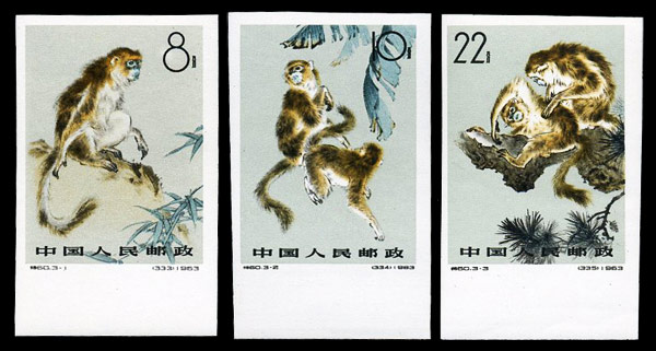 （特60）金丝猴（无齿）