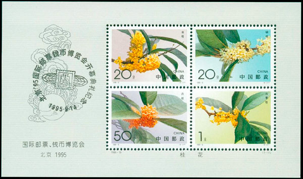 桂花小全张加字